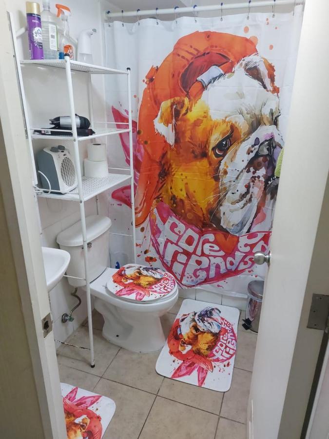 Apartamento Acogedor Depto Al Sur De Chile Buena Accesibilidad *