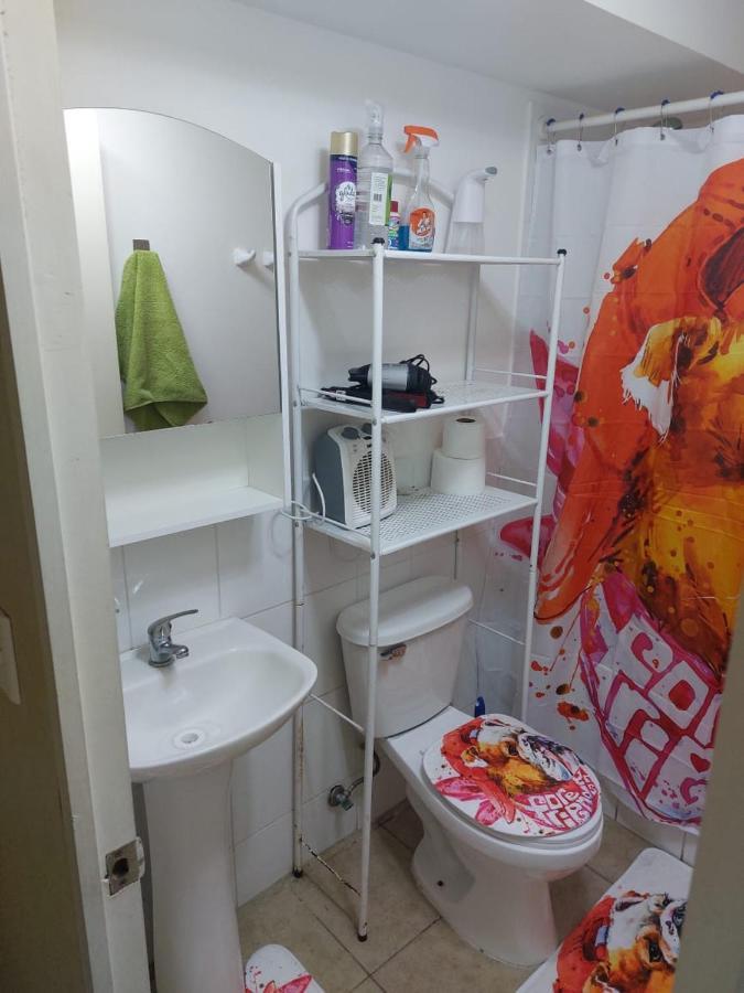 Acogedor Depto Al Sur De Chile Buena Accesibilidad Apartment *